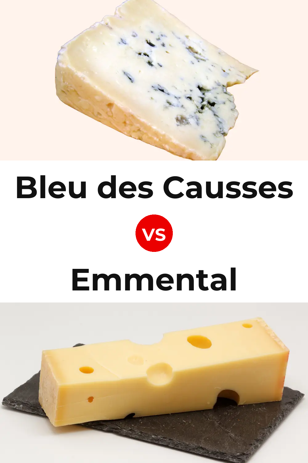 Bleu des Causses Cheese vs Emmental Cheese Pinterest comparison