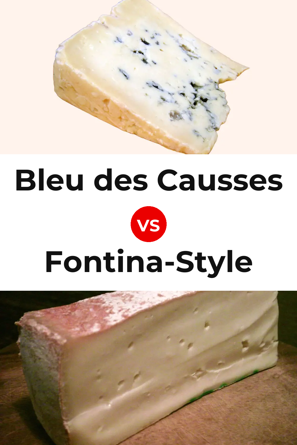 Bleu des Causses Cheese vs Fontina-Style Cheese Pinterest comparison