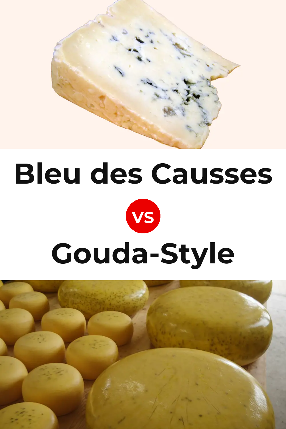 Bleu des Causses Cheese vs Gouda-Style Cheese Pinterest comparison