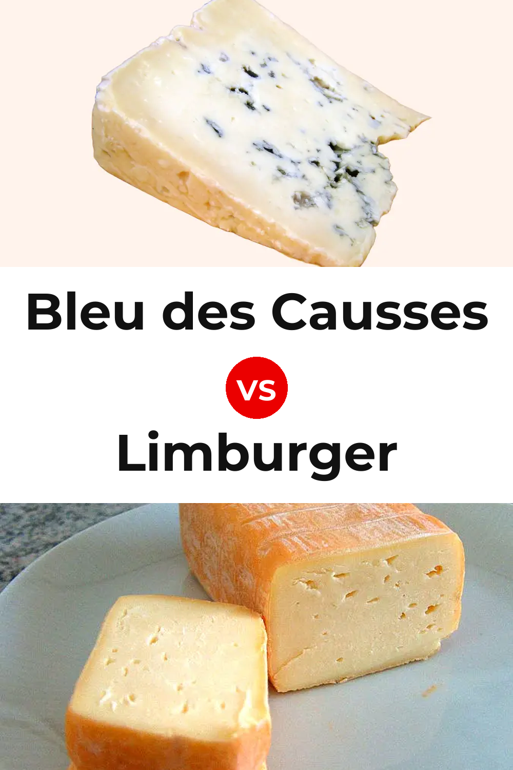 Bleu des Causses Cheese vs Limburger Cheese Pinterest comparison