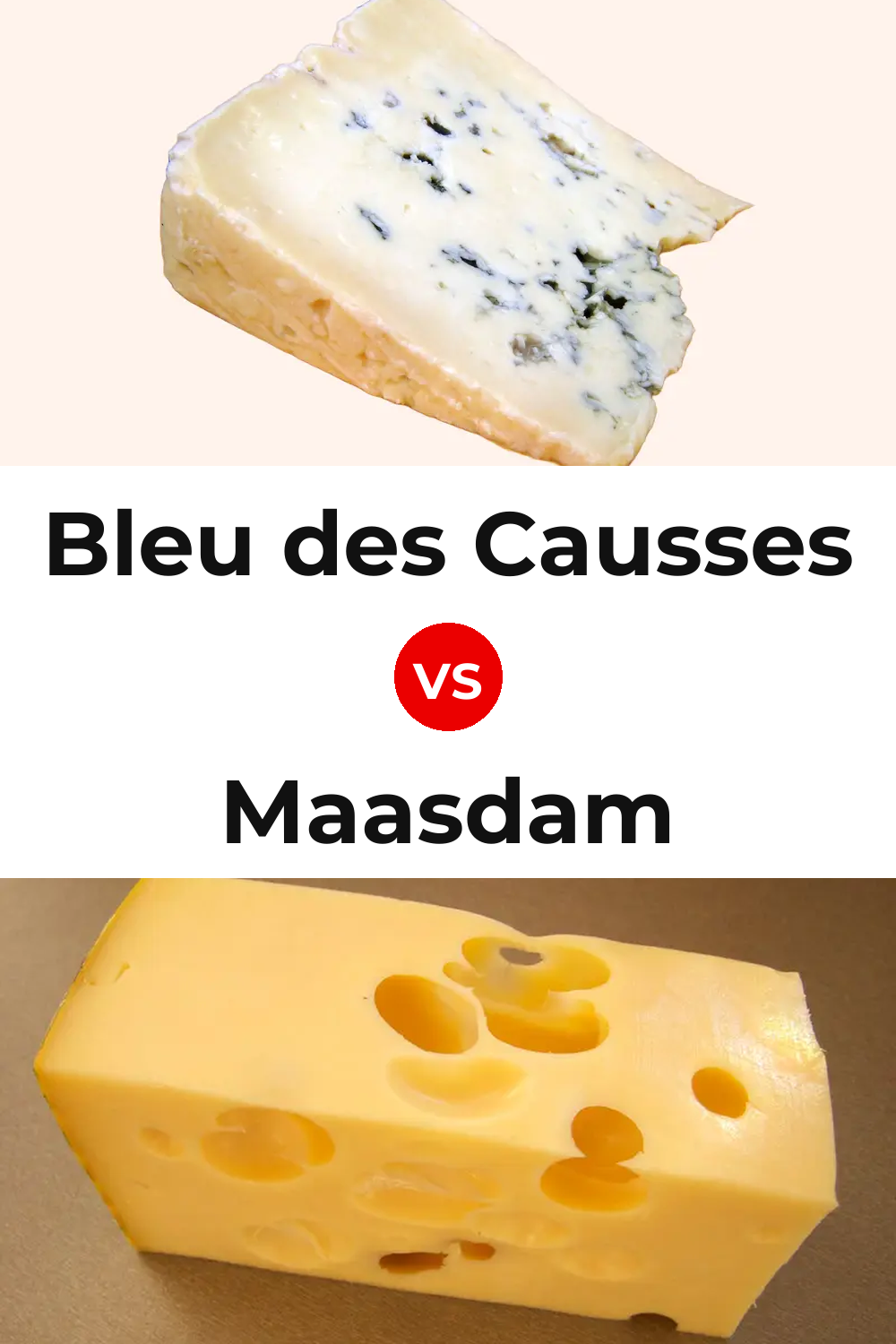 Bleu des Causses Cheese vs Maasdam Cheese Pinterest comparison
