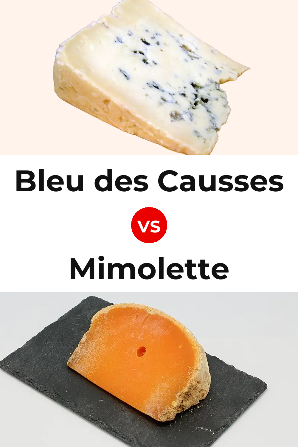 Bleu des Causses Cheese vs Mimolette Cheese Pinterest comparison