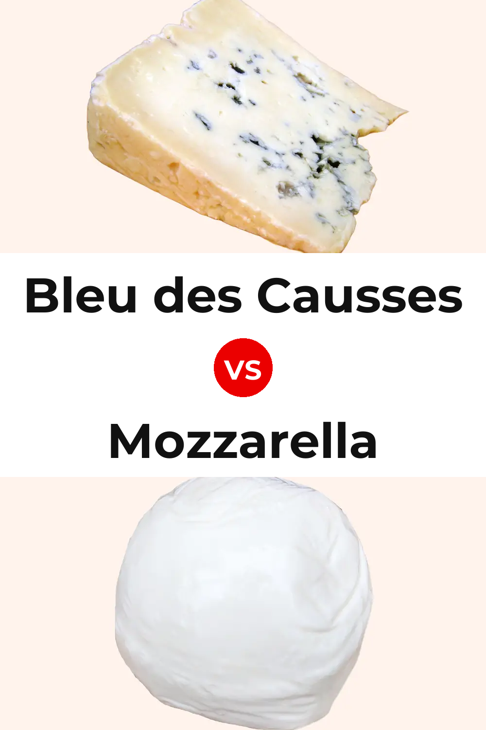 Bleu des Causses Cheese vs Mozzarella Cheese Pinterest comparison