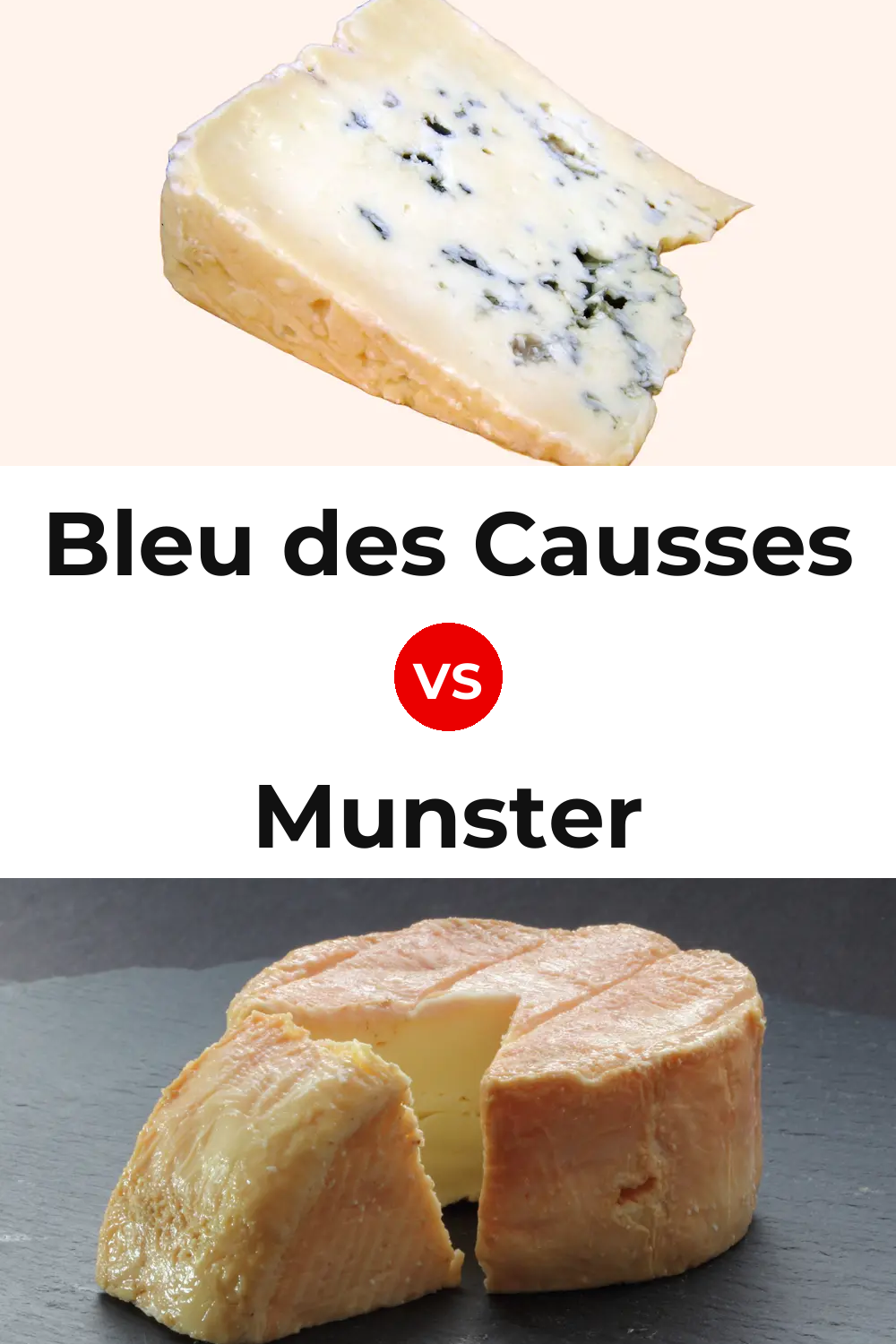 Bleu des Causses Cheese vs Munster Cheese Pinterest comparison