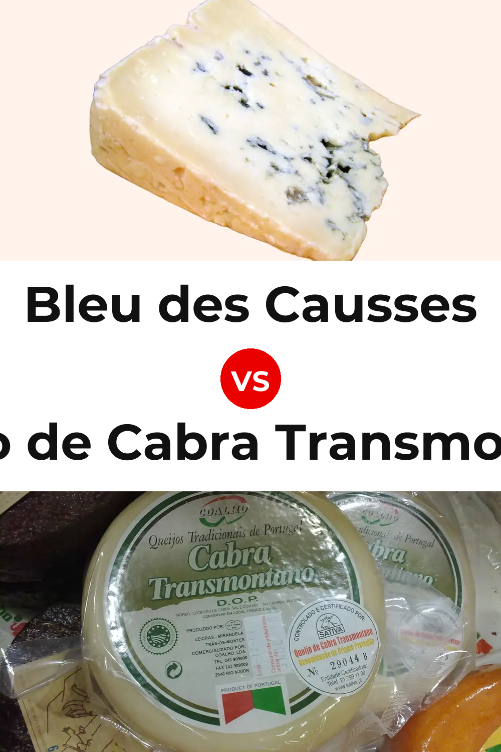 Bleu des Causses Cheese vs Queijo de Cabra Transmontano Pinterest comparison