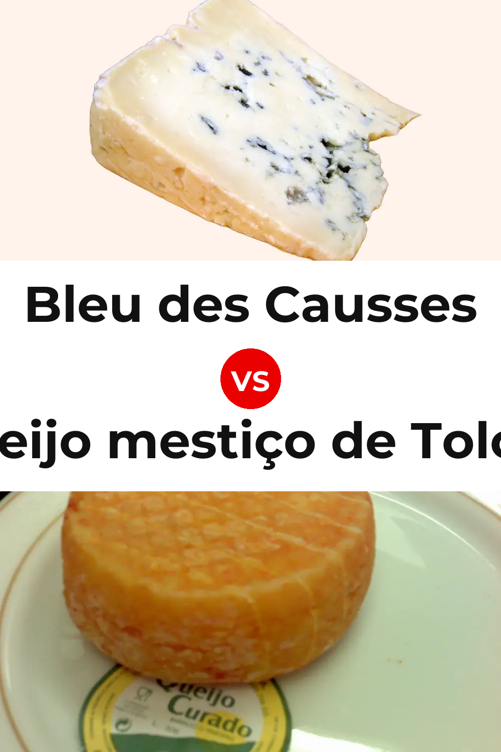 Bleu des Causses Cheese vs Queijo mestiço de Tolosa Pinterest comparison