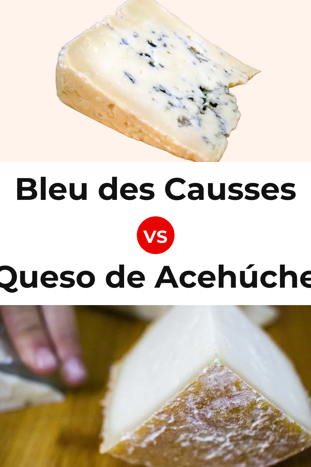 Bleu des Causses Cheese vs Queso de Acehúche Pinterest comparison