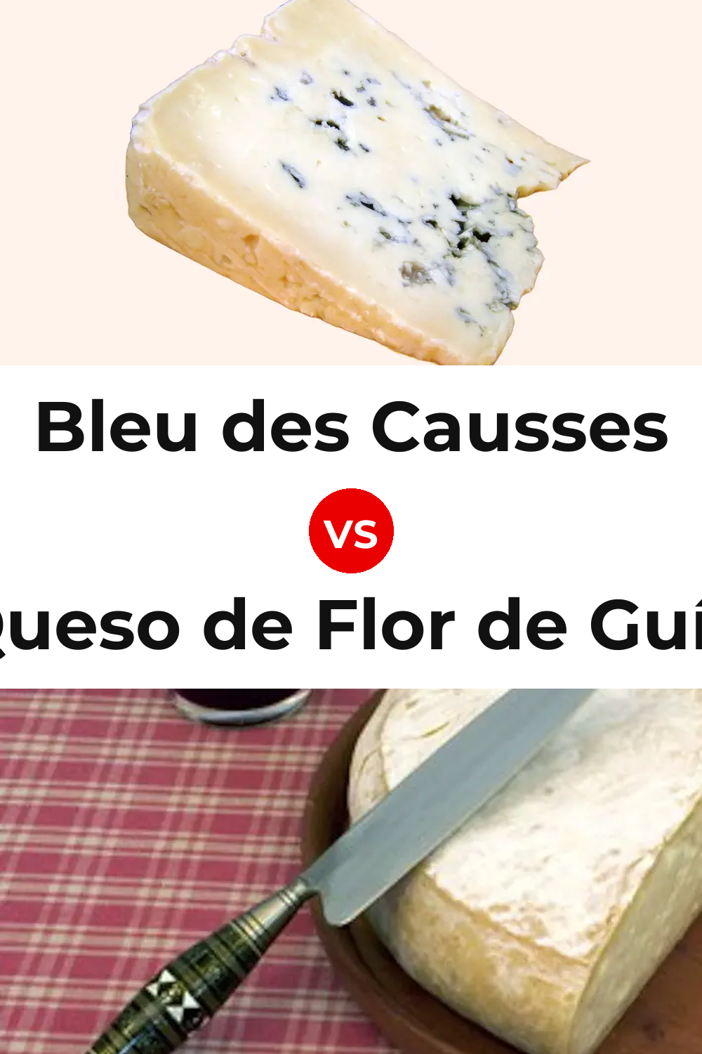 Bleu des Causses Cheese vs Queso de Flor de Guía Pinterest comparison