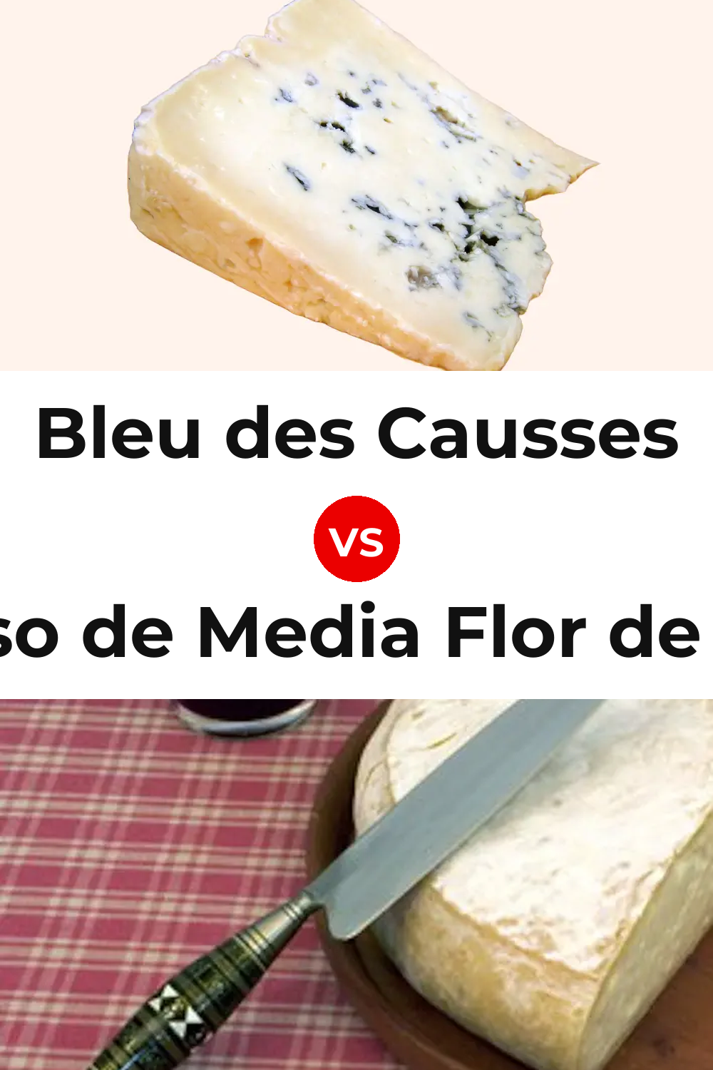 Bleu des Causses Cheese vs Queso de Media Flor de Guía Pinterest comparison