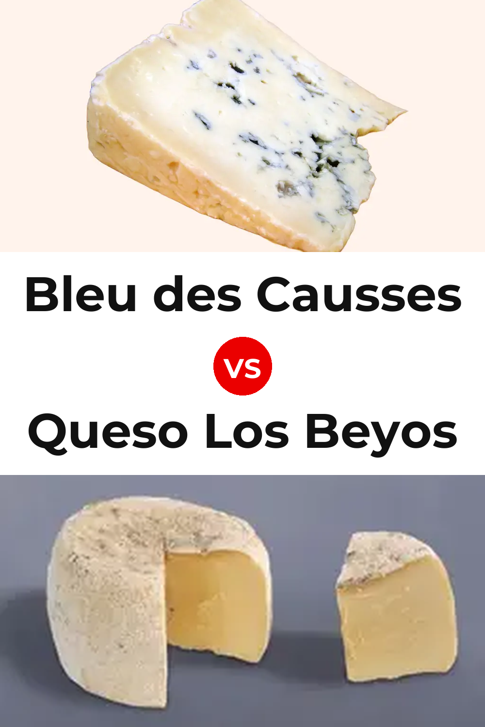 Bleu des Causses Cheese vs Queso Los Beyos Pinterest comparison