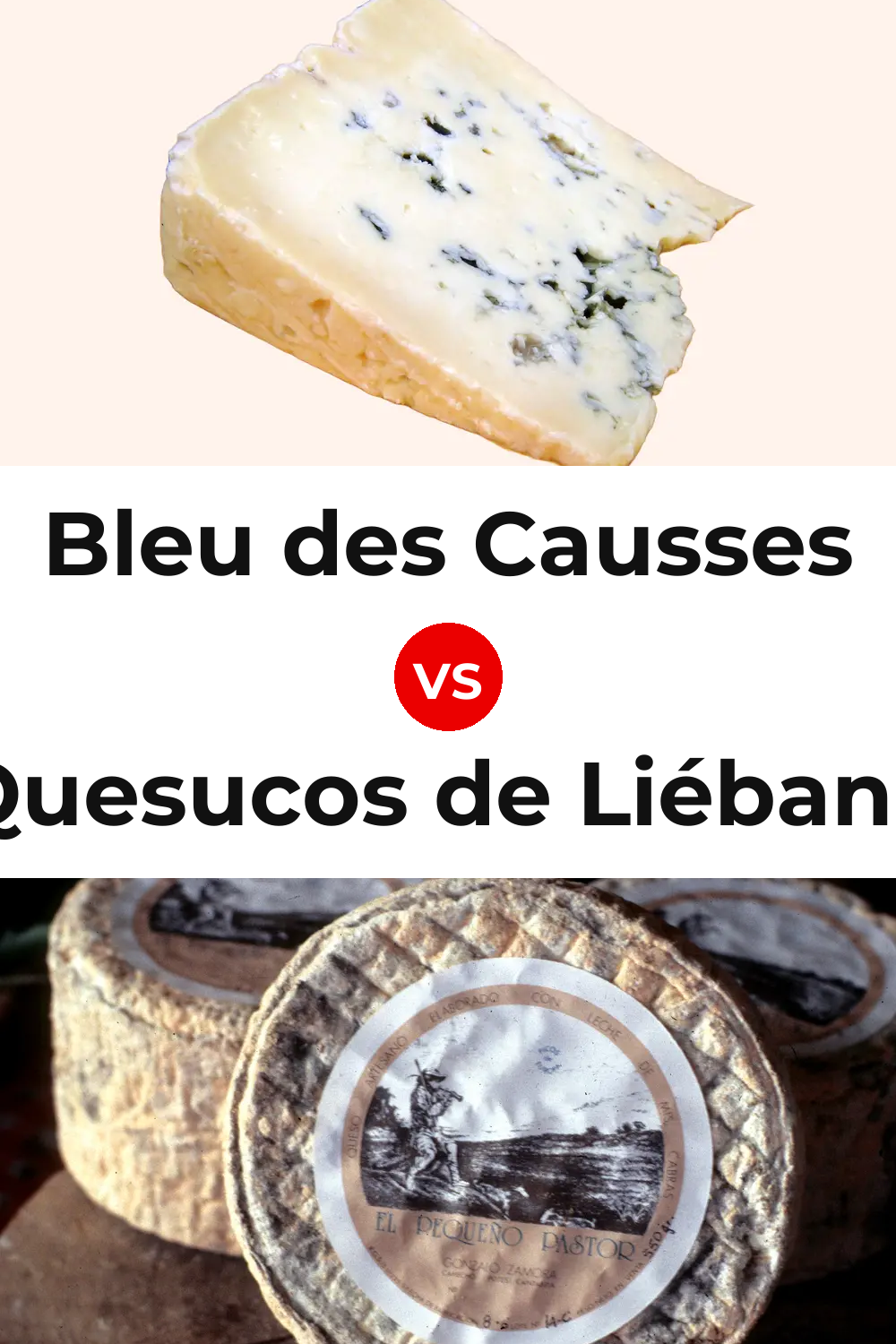 Bleu des Causses Cheese vs Quesucos de Liébana Cheese Pinterest comparison
