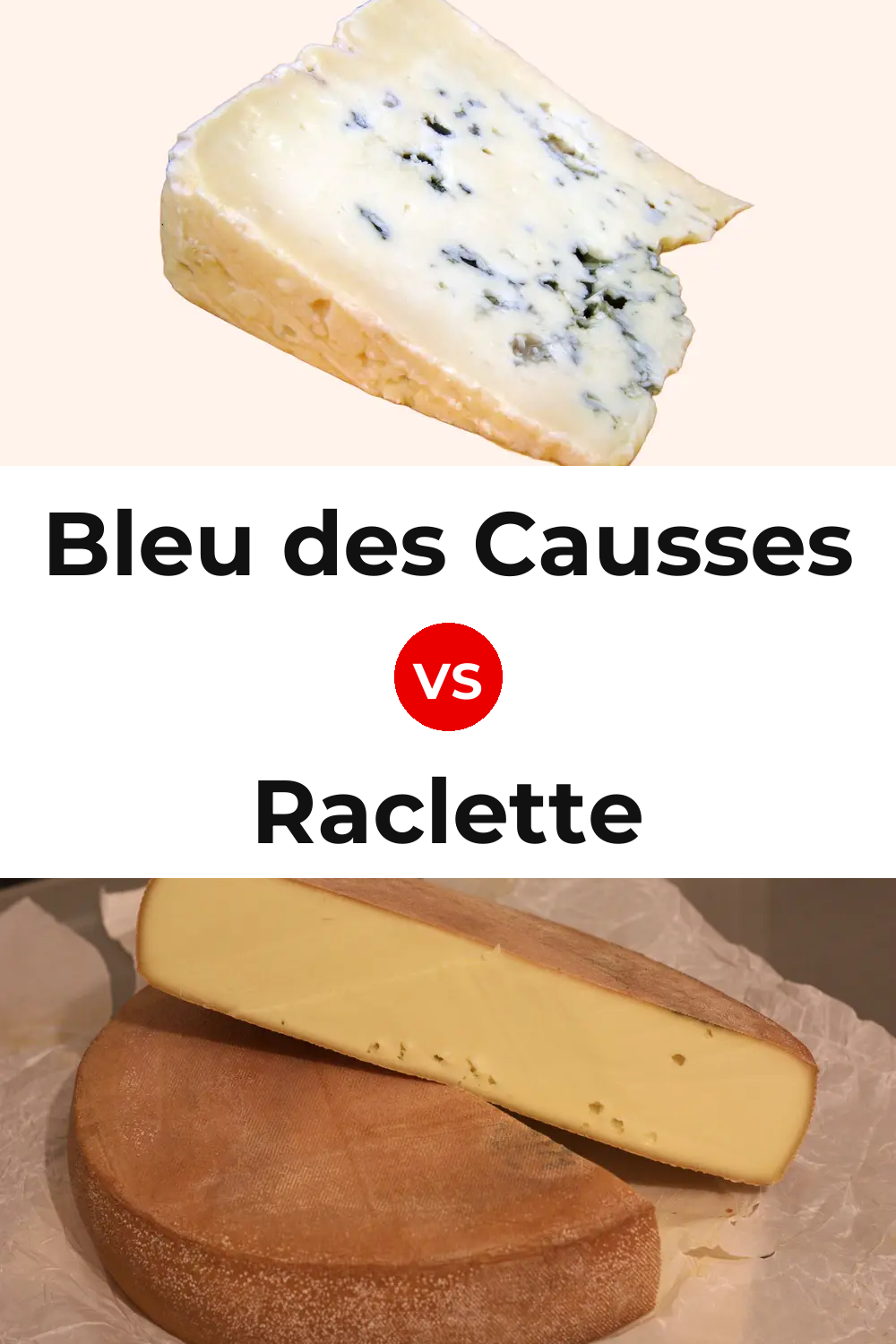 Bleu des Causses Cheese vs Raclette Cheese Pinterest comparison