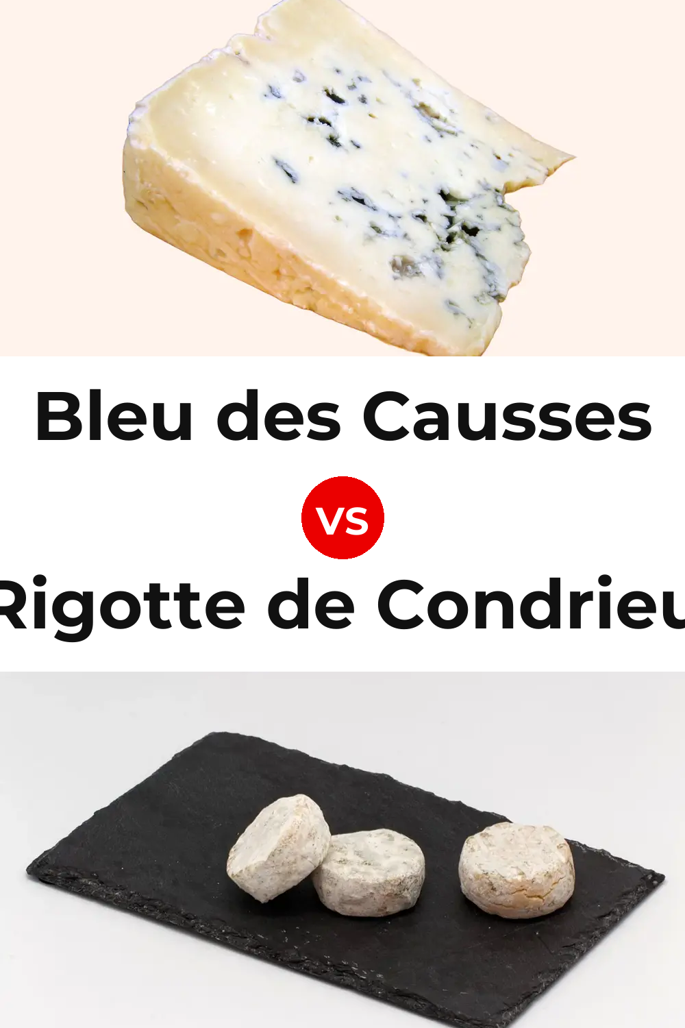 Bleu des Causses Cheese vs Rigotte de Condrieu Cheese Pinterest comparison