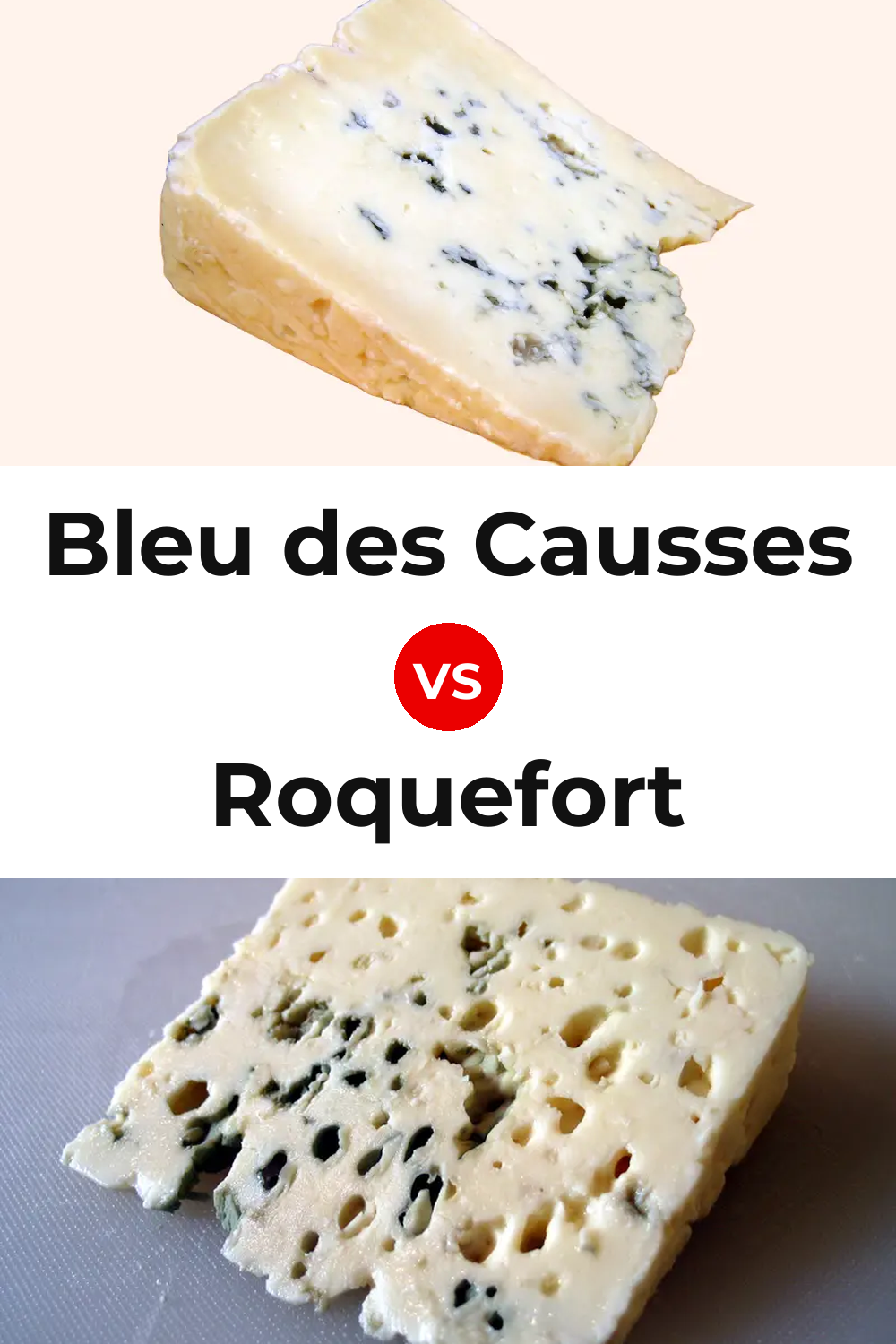Bleu des Causses Cheese vs Roquefort Cheese Pinterest comparison