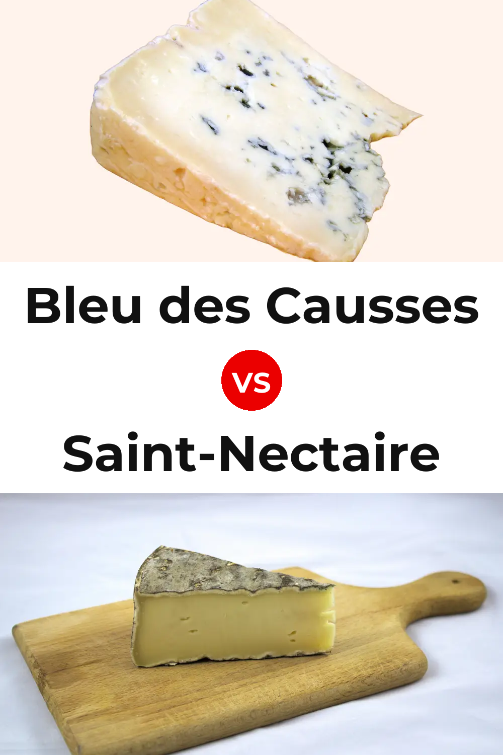 Bleu des Causses Cheese vs Saint-Nectaire Cheese Pinterest comparison