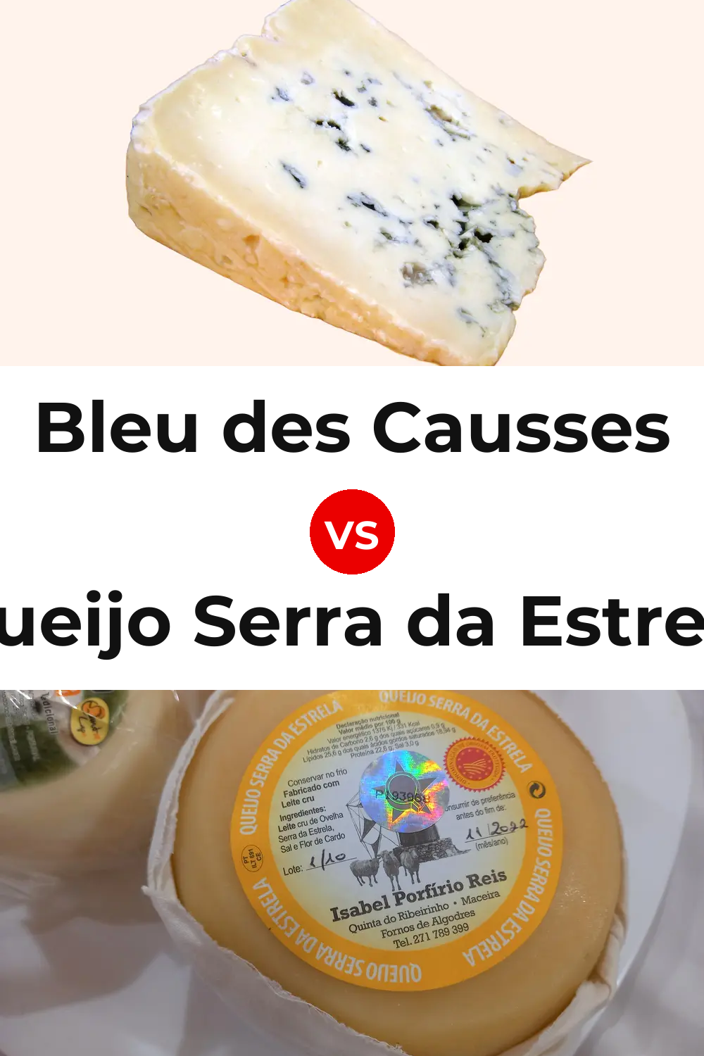 Bleu des Causses Cheese vs Queijo Serra da Estrela Pinterest comparison