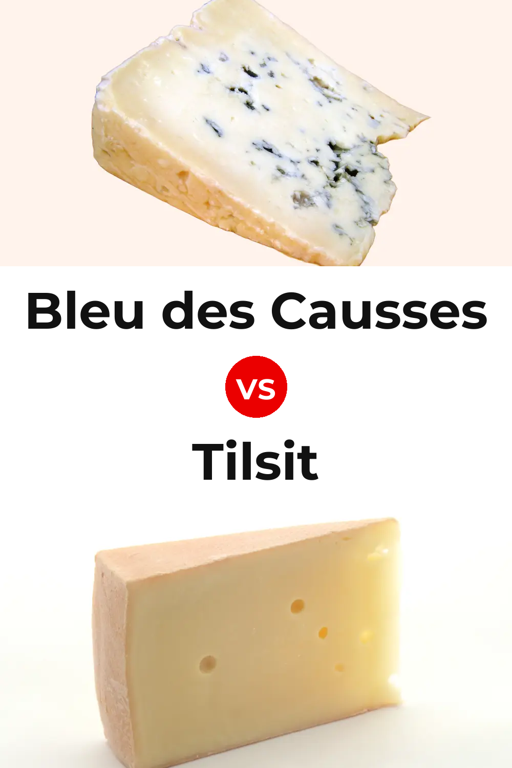 Bleu des Causses Cheese vs Tilsit Cheese Pinterest comparison