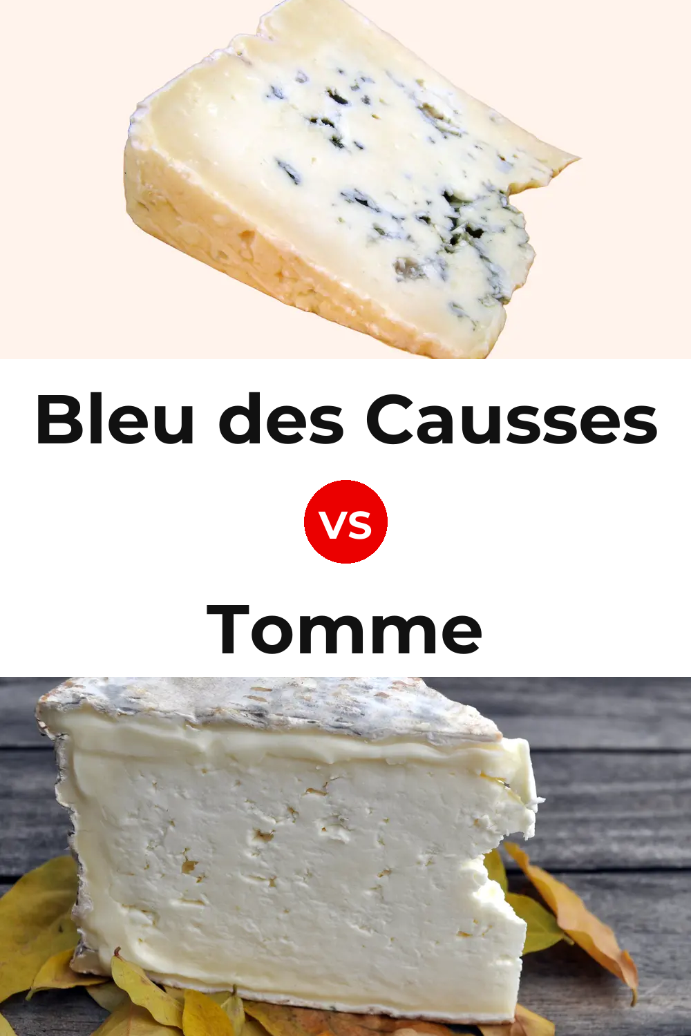 Bleu des Causses Cheese vs Tomme Cheese Pinterest comparison
