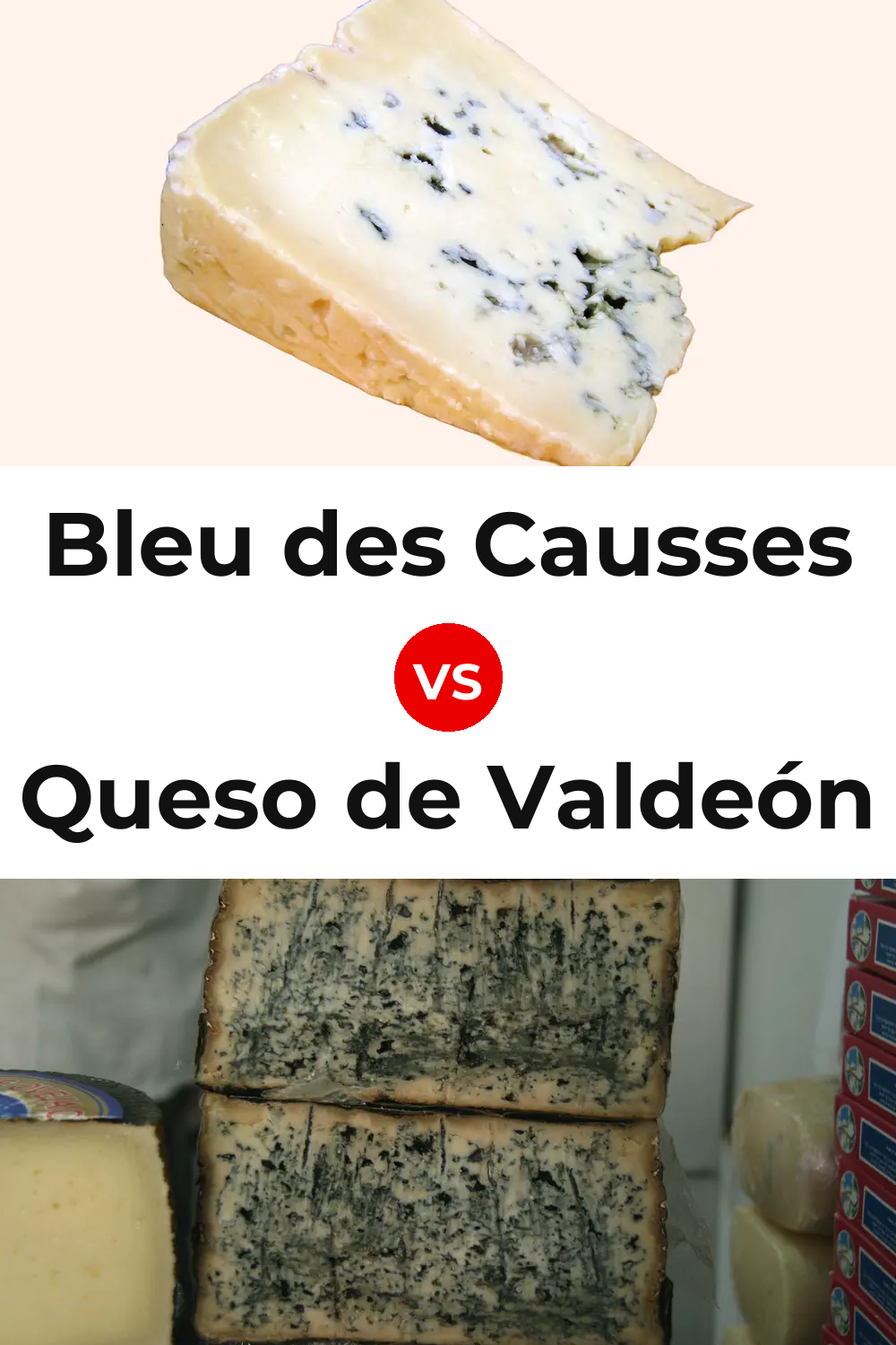 Bleu des Causses Cheese vs Queso de Valdeón Pinterest comparison