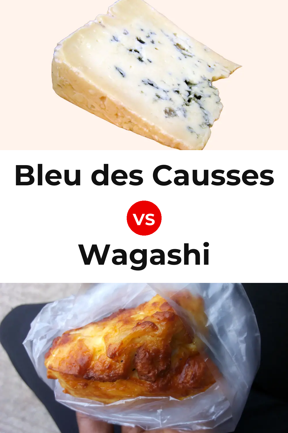 Bleu des Causses Cheese vs Wagashi Cheese Pinterest comparison