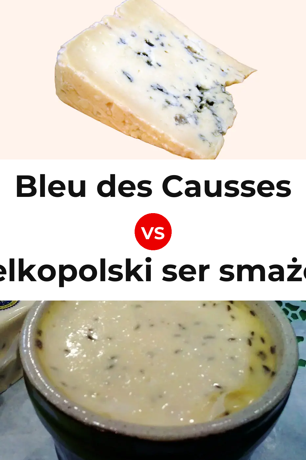 Bleu des Causses Cheese vs Wielkopolski ser smażony Cheese Pinterest comparison