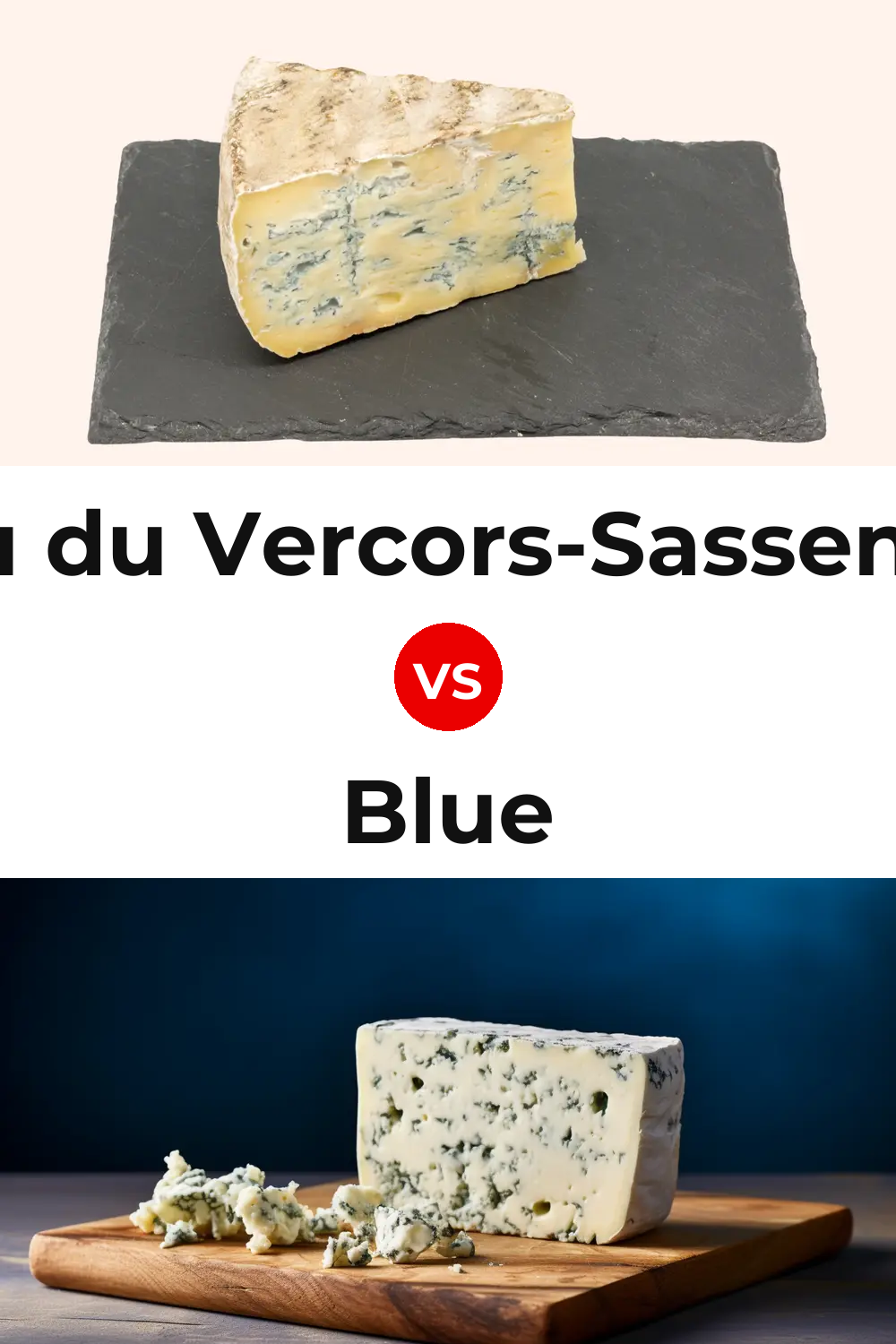 Bleu du Vercors-Sassenage Cheese vs Blue Cheese Pinterest comparison