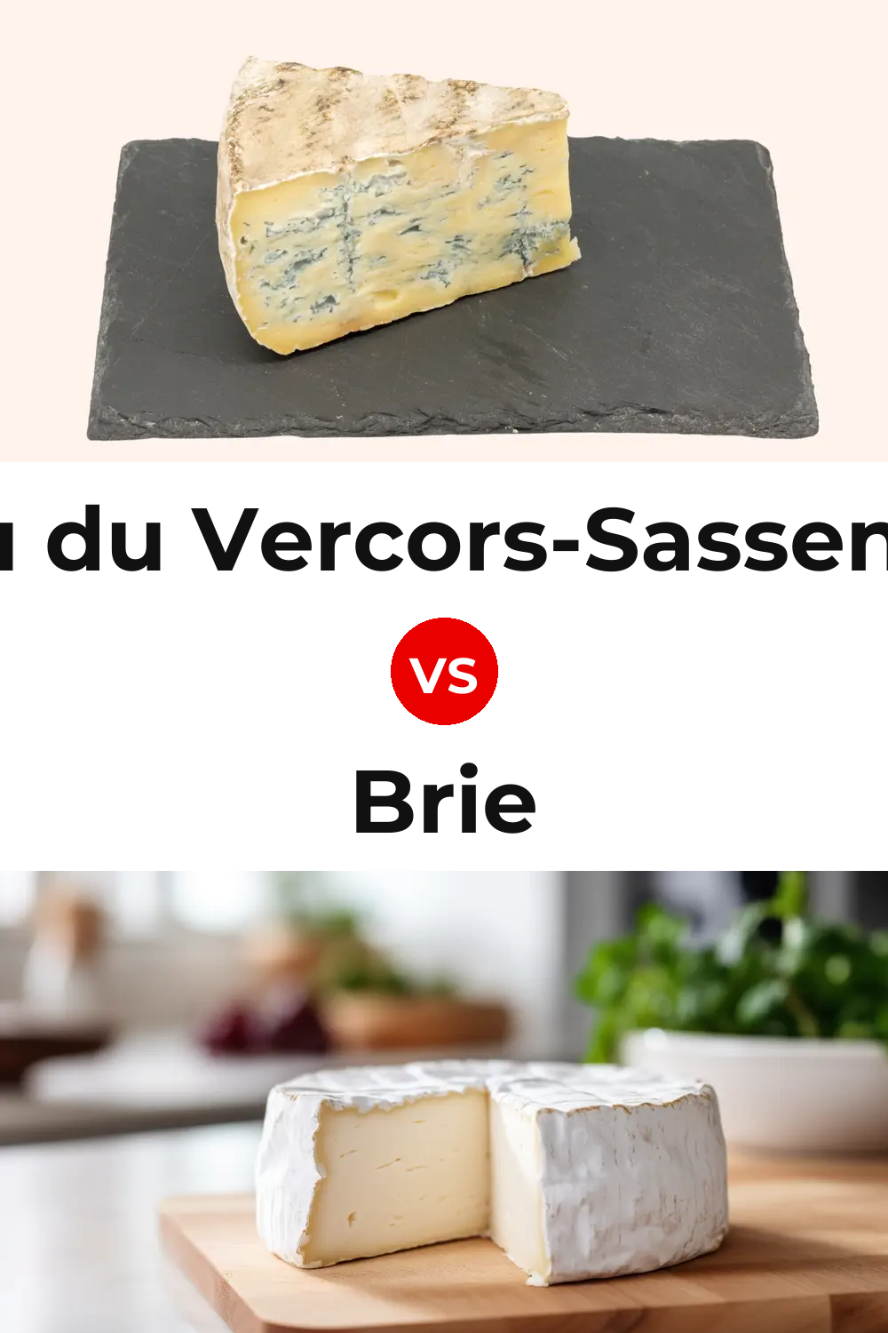 Bleu du Vercors-Sassenage Cheese vs Brie Cheese Pinterest comparison