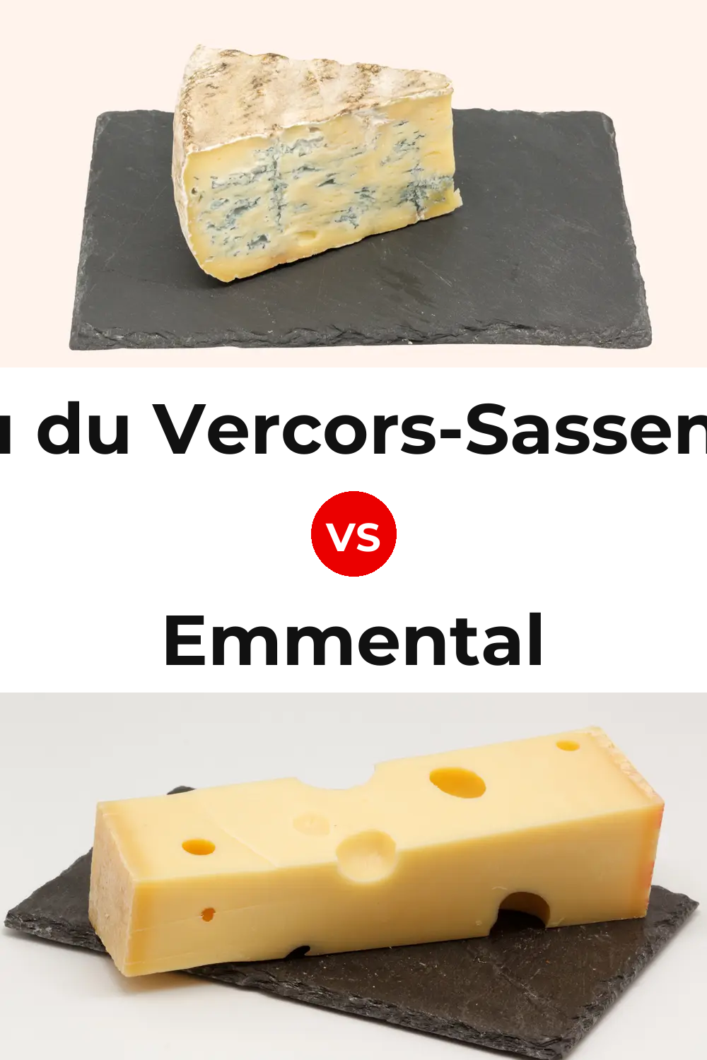 Bleu du Vercors-Sassenage Cheese vs Emmental Cheese Pinterest comparison
