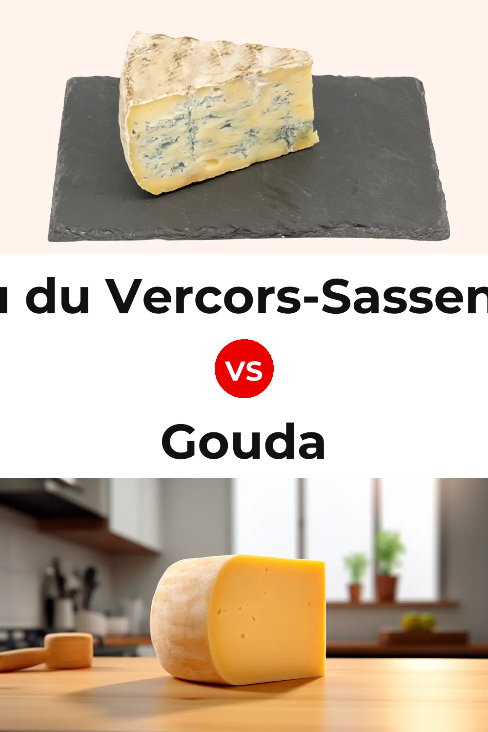 Bleu du Vercors-Sassenage Cheese vs Gouda Cheese Pinterest comparison