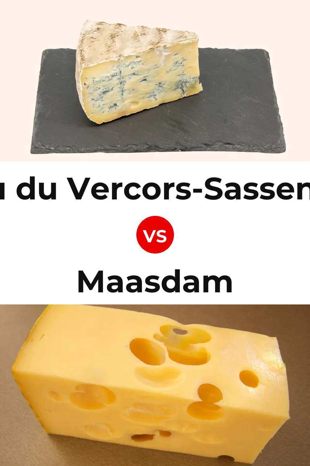 Bleu du Vercors-Sassenage Cheese vs Maasdam Cheese Pinterest comparison
