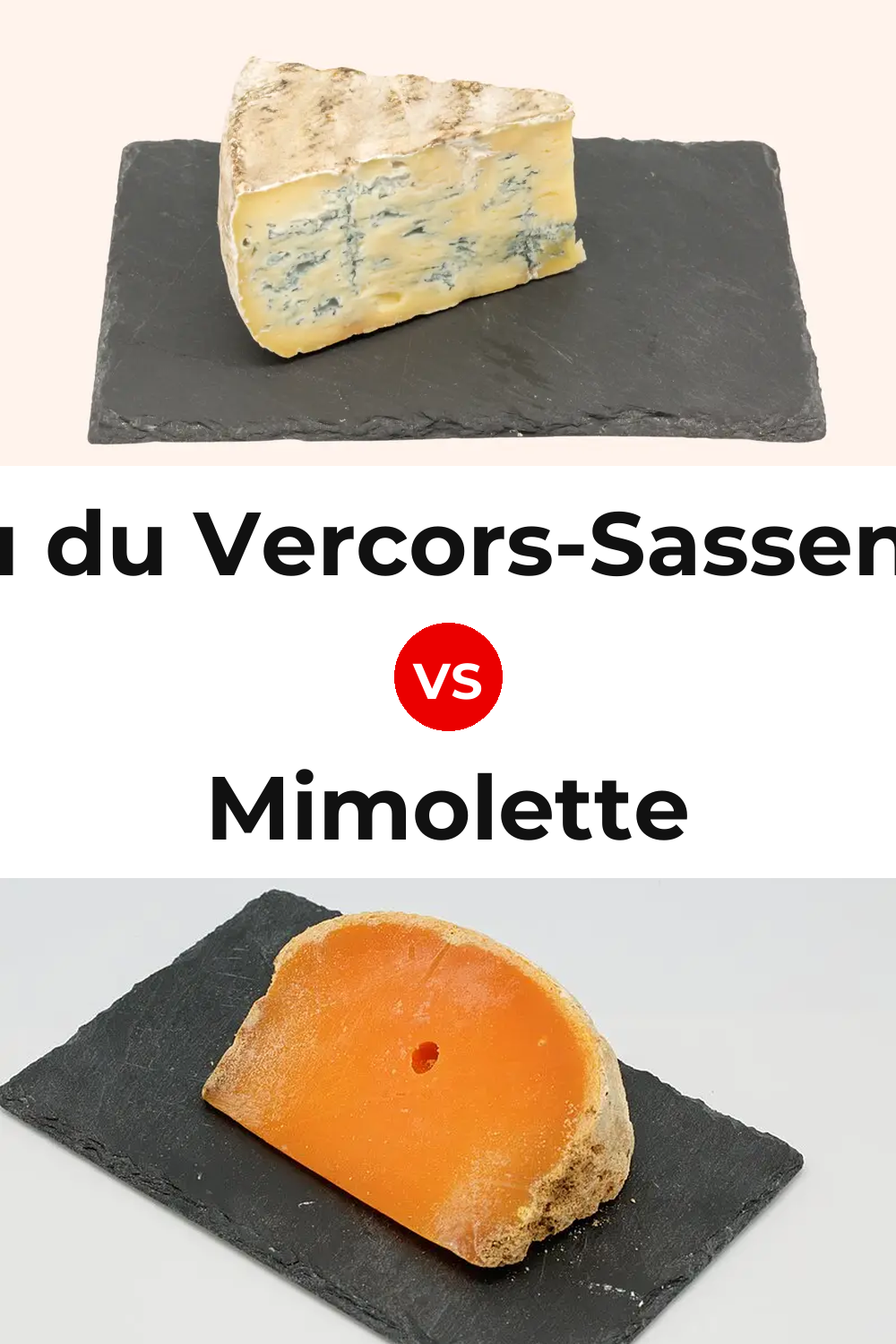 Bleu du Vercors-Sassenage Cheese vs Mimolette Cheese Pinterest comparison