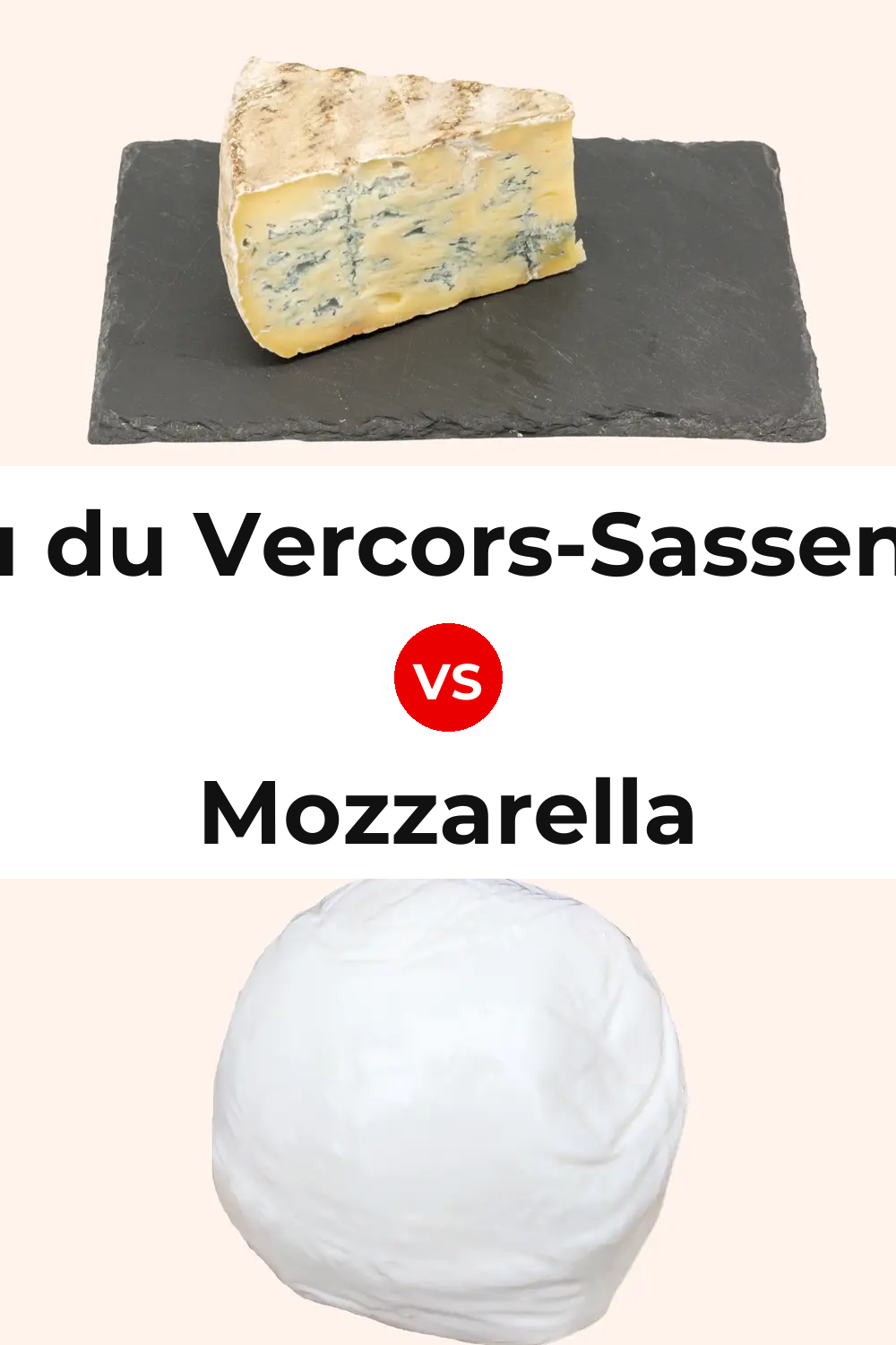 Bleu du Vercors-Sassenage Cheese vs Mozzarella Cheese Pinterest comparison