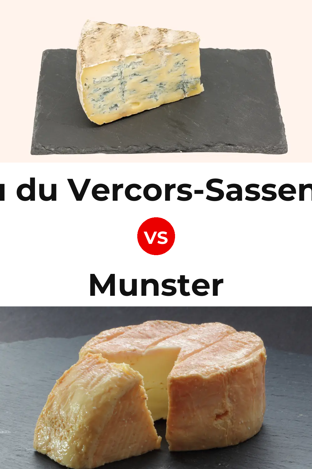 Bleu du Vercors-Sassenage Cheese vs Munster Cheese Pinterest comparison
