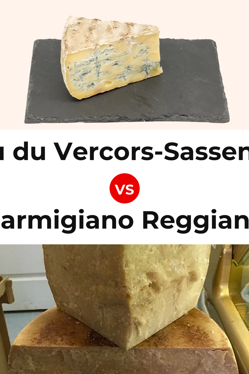 Bleu du Vercors-Sassenage Cheese vs Parmigiano Reggiano Cheese Pinterest comparison