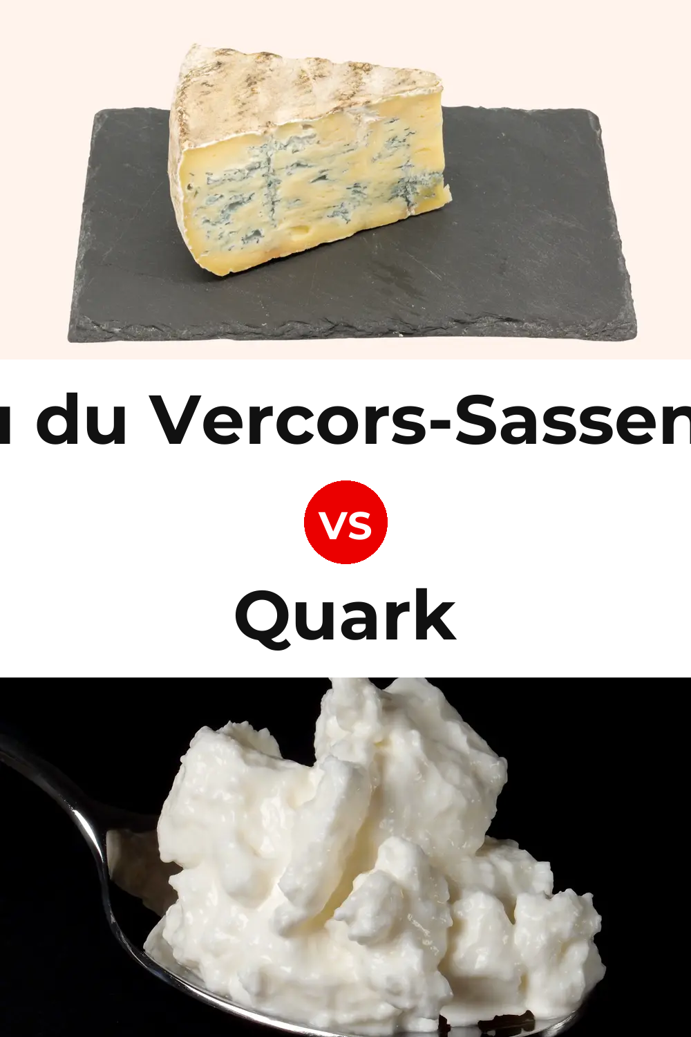 Bleu du Vercors-Sassenage Cheese vs Quark Cheese Pinterest comparison