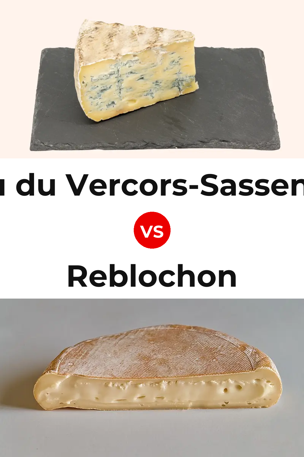 Bleu du Vercors-Sassenage Cheese vs Reblochon Cheese Pinterest comparison