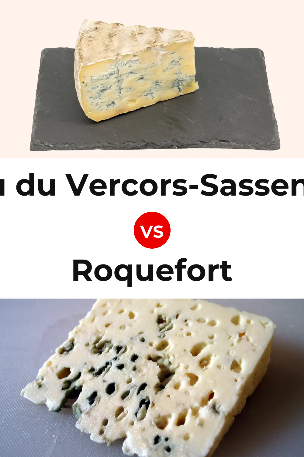Bleu du Vercors-Sassenage Cheese vs Roquefort Cheese Pinterest comparison