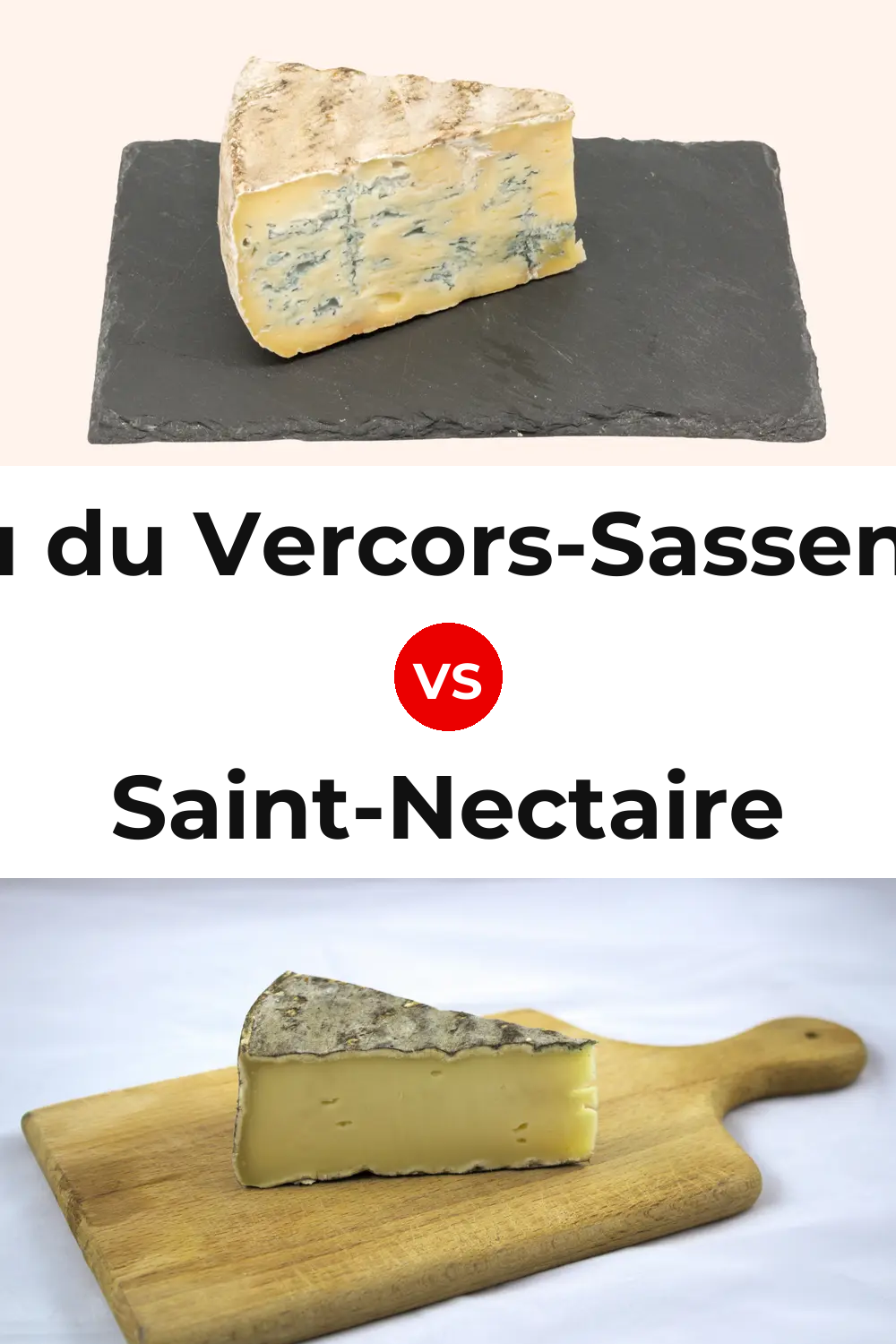 Bleu du Vercors-Sassenage Cheese vs Saint-Nectaire Cheese Pinterest comparison