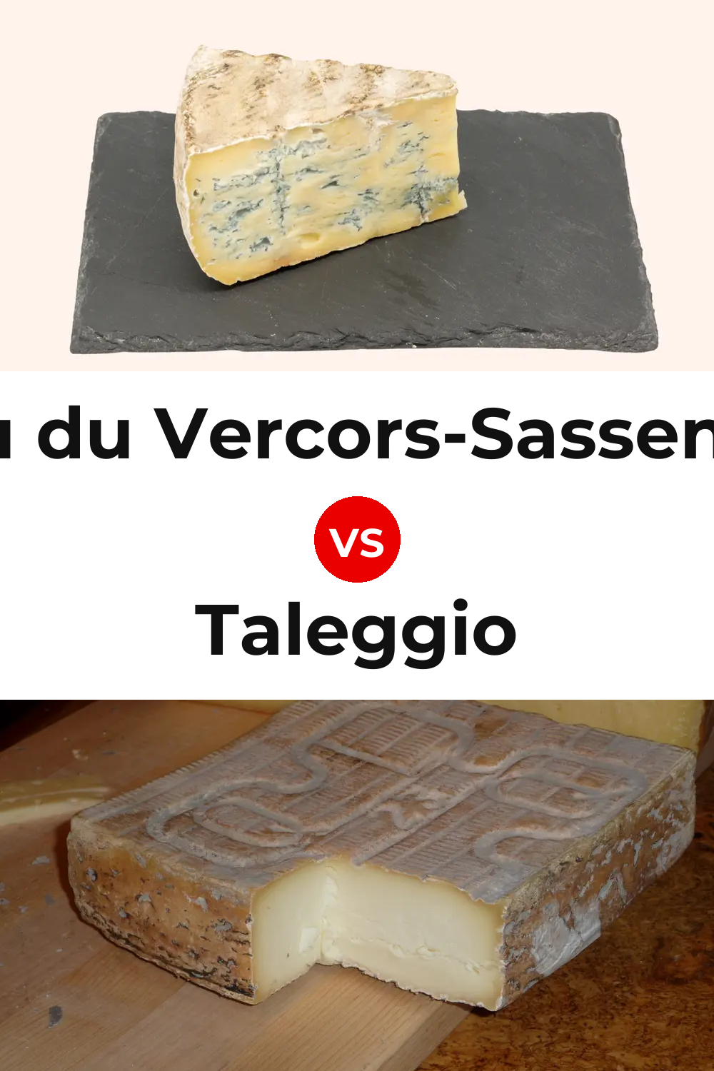 Bleu du Vercors-Sassenage Cheese vs Taleggio Cheese Pinterest comparison