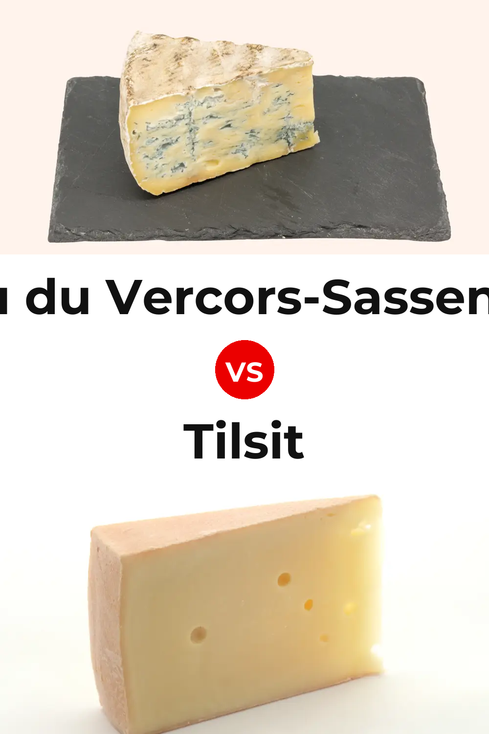 Bleu du Vercors-Sassenage Cheese vs Tilsit Cheese Pinterest comparison