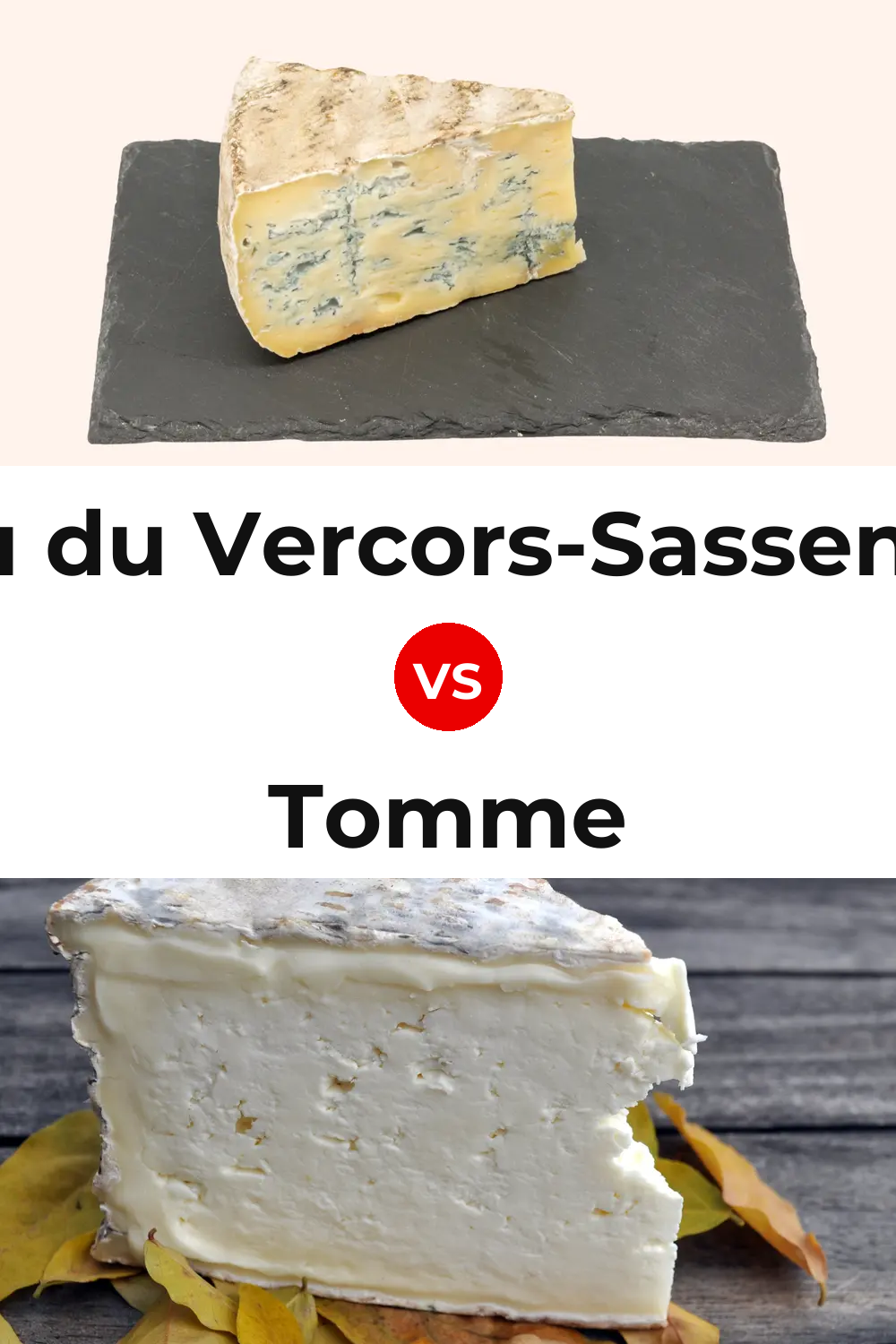 Bleu du Vercors-Sassenage Cheese vs Tomme Cheese Pinterest comparison