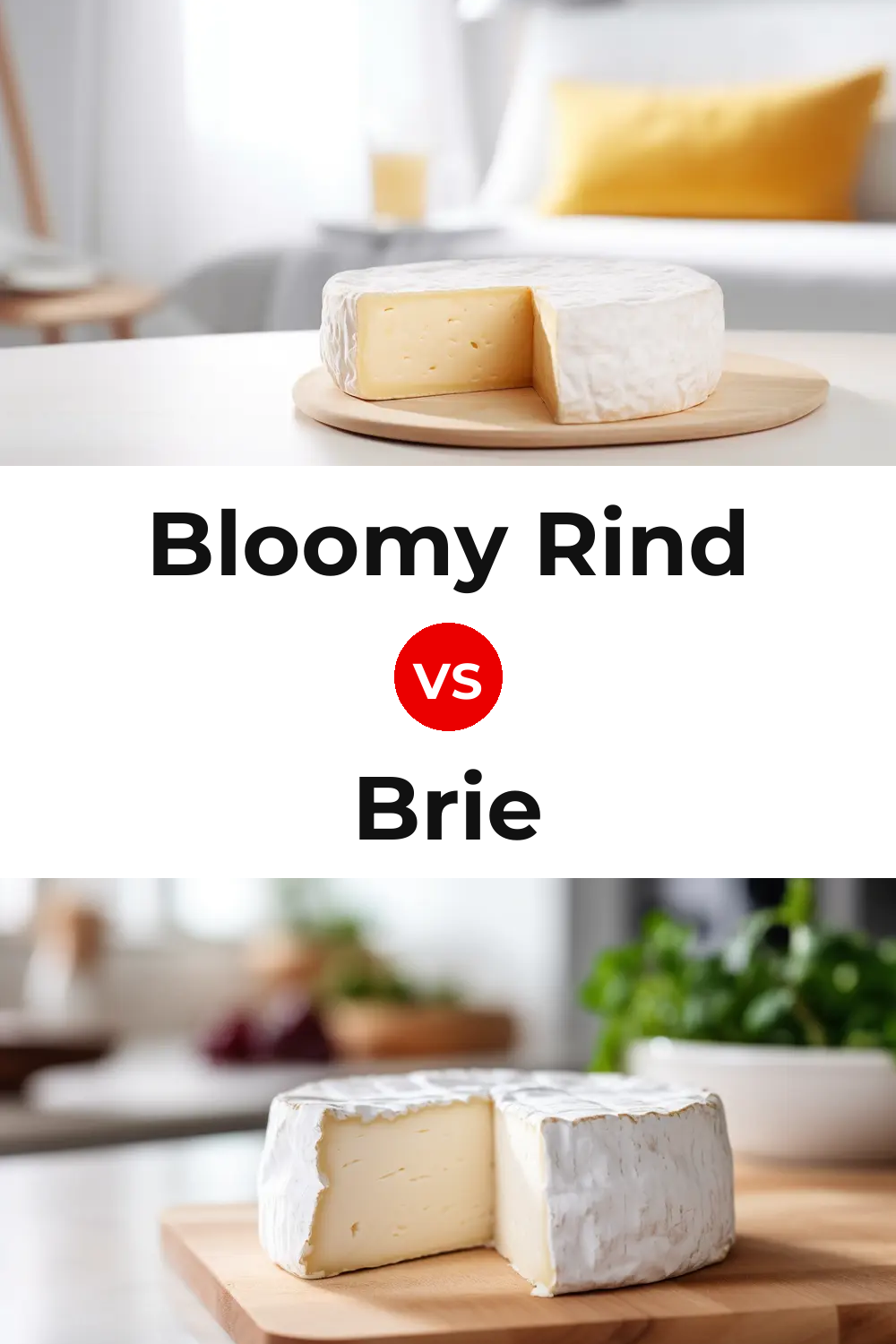 Bloomy Rind Cheese vs Brie Cheese Pinterest comparison