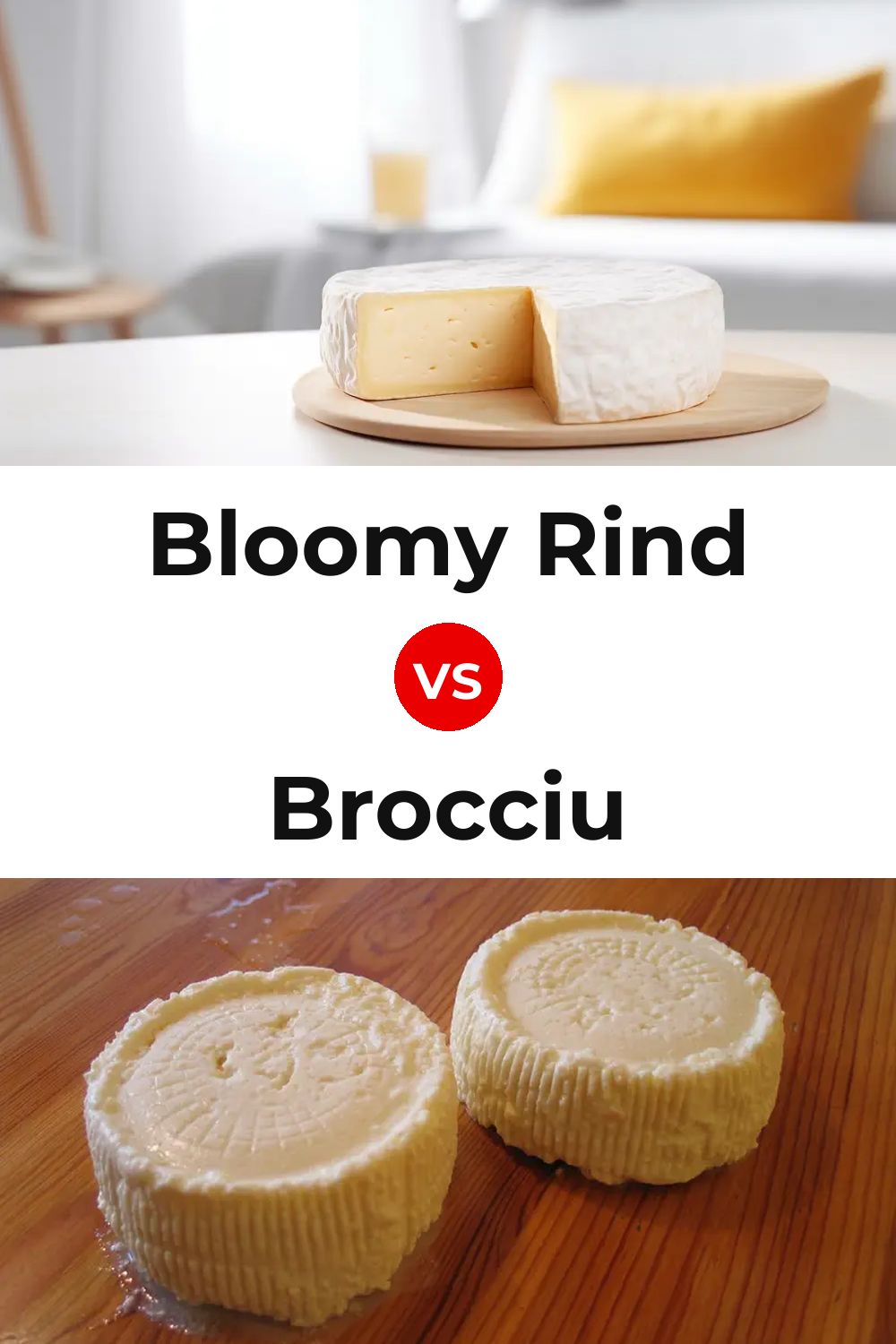 Bloomy Rind Cheese vs Brocciu Cheese Pinterest comparison