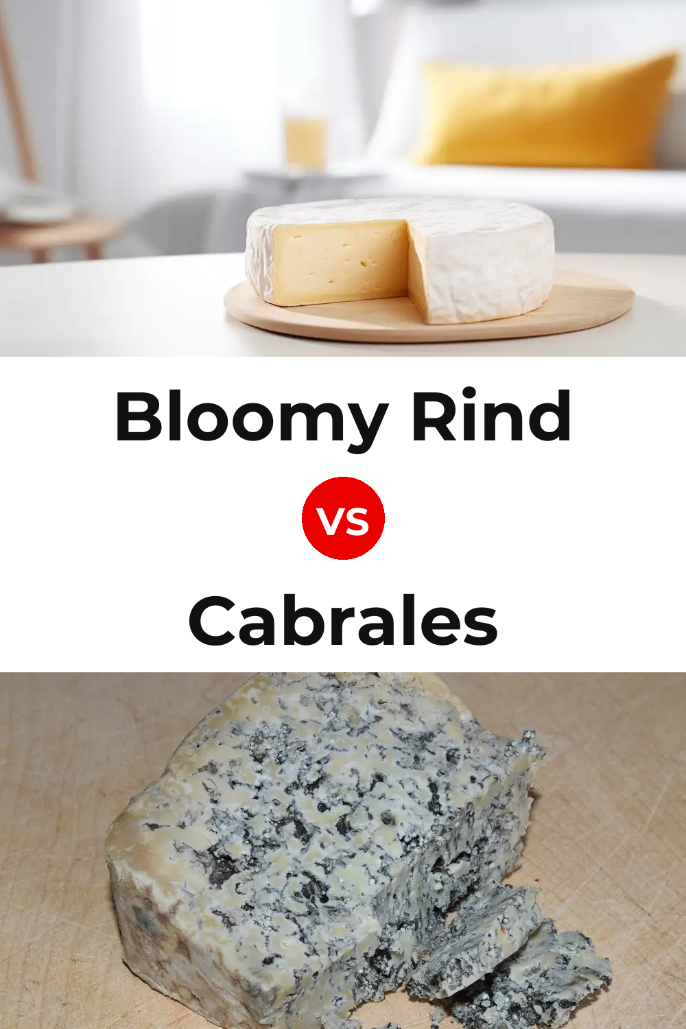 Bloomy Rind Cheese vs Cabrales Cheese Pinterest comparison