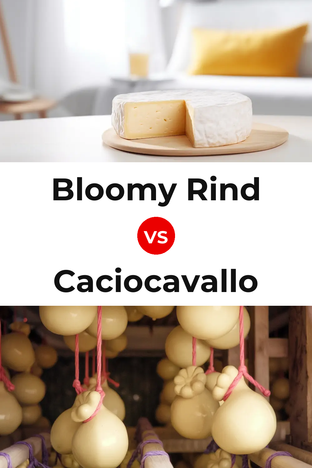 Bloomy Rind Cheese vs Caciocavallo Cheese Pinterest comparison