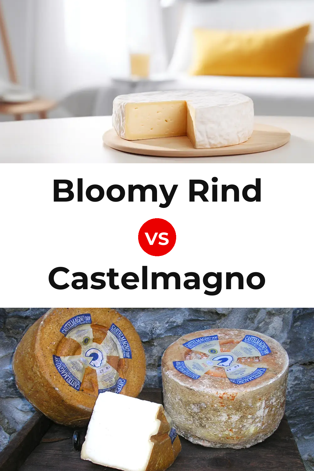 Bloomy Rind Cheese vs Castelmagno Cheese Pinterest comparison