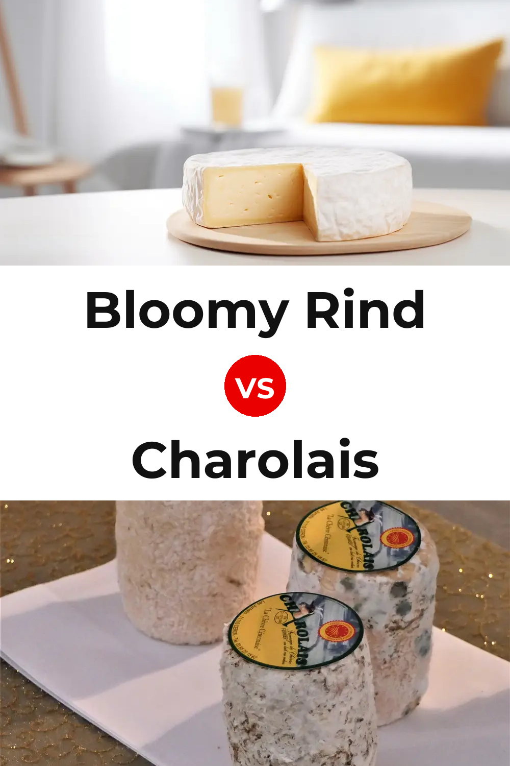 Bloomy Rind Cheese vs Charolais Cheese Pinterest comparison
