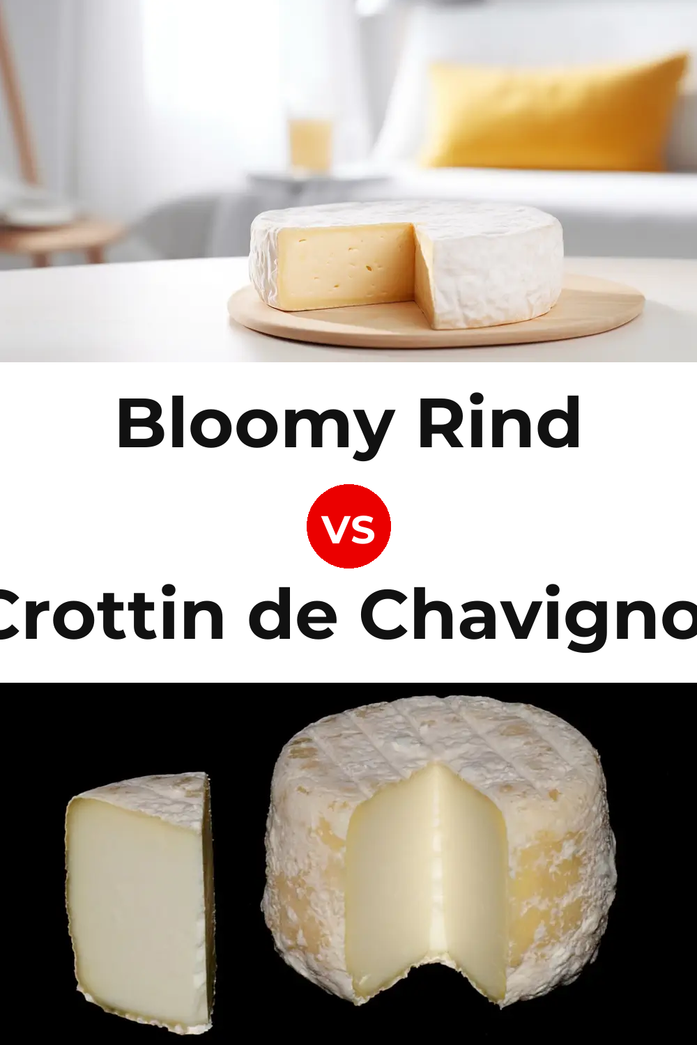 Bloomy Rind Cheese vs Crottin de Chavignol Cheese Pinterest comparison