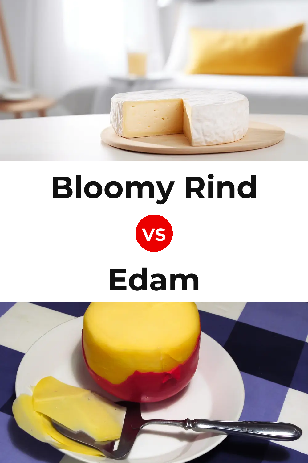 Bloomy Rind Cheese vs Edam Cheese Pinterest comparison