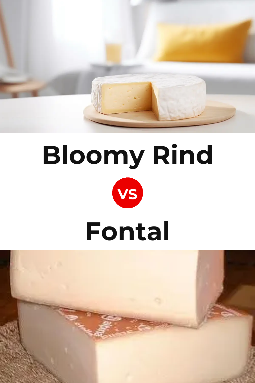 Bloomy Rind Cheese vs Fontal Cheese Pinterest comparison